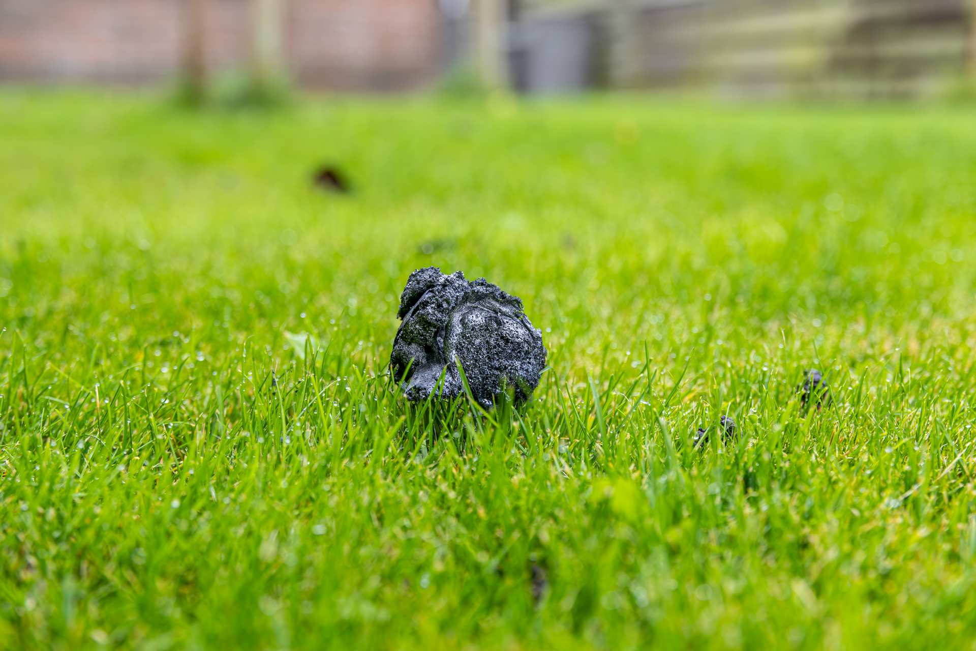 Opruimen van resten na brand Ternaard