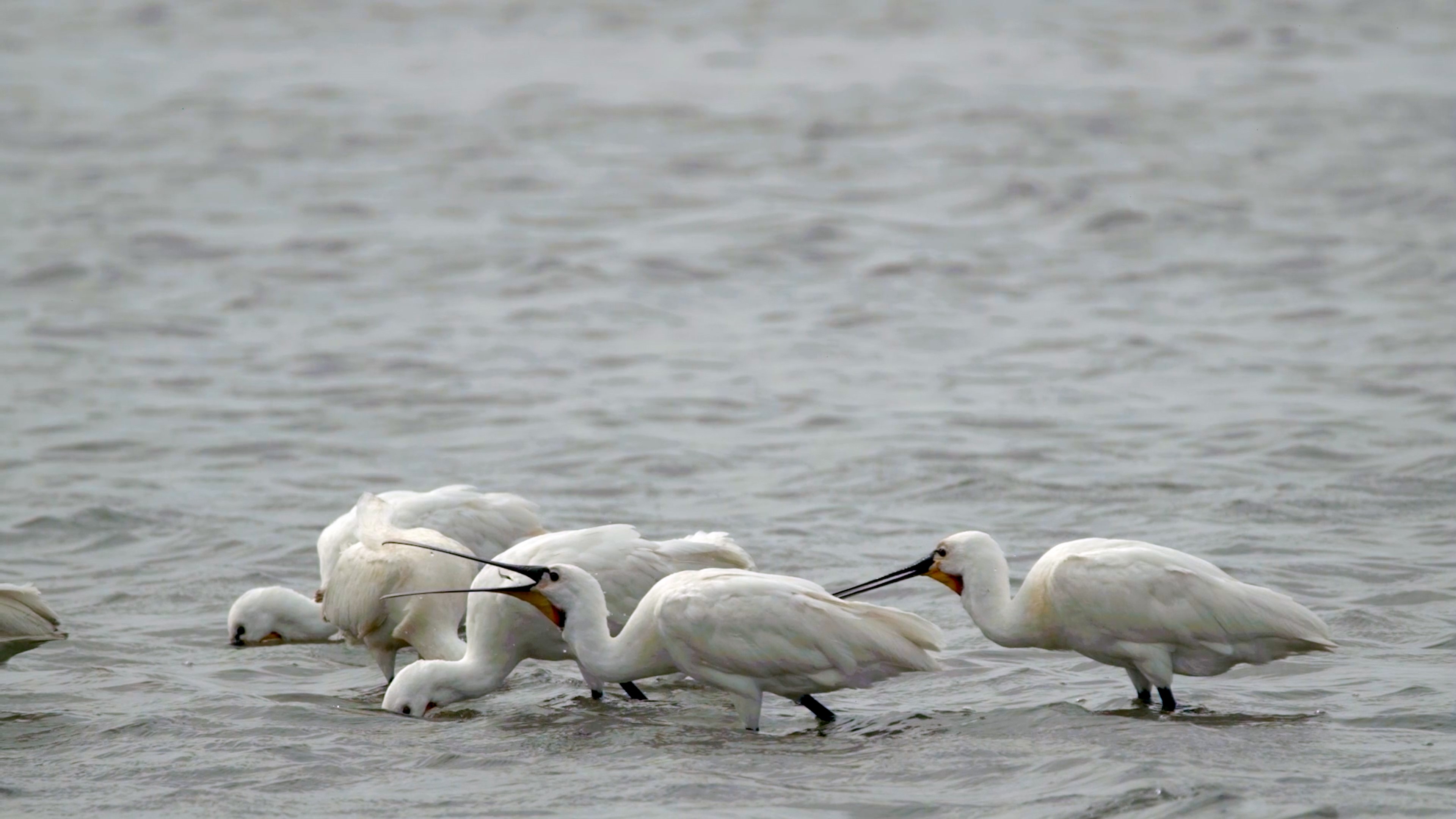 Subsidie voor initiatieven in Lauwersmeergebied