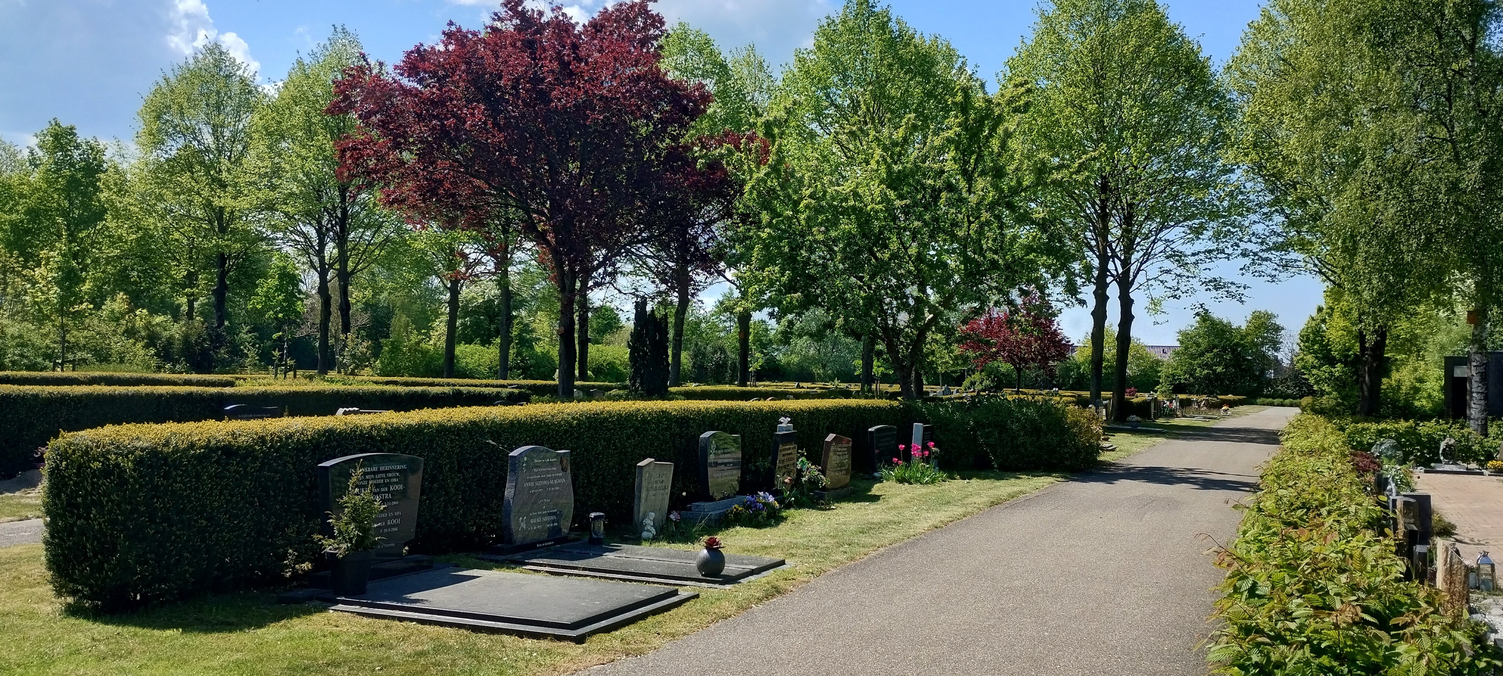 Denk mee over de uitbreiding van begraafplaats Lindenhof in Dokkum