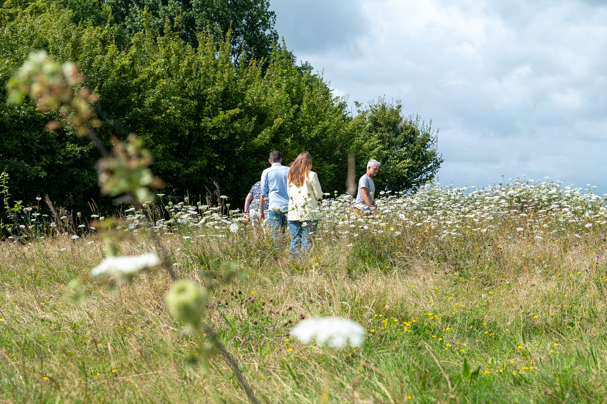 Bezoek aan camping It Dreamlân in Kollumerpomp: trots op onze ondernemers