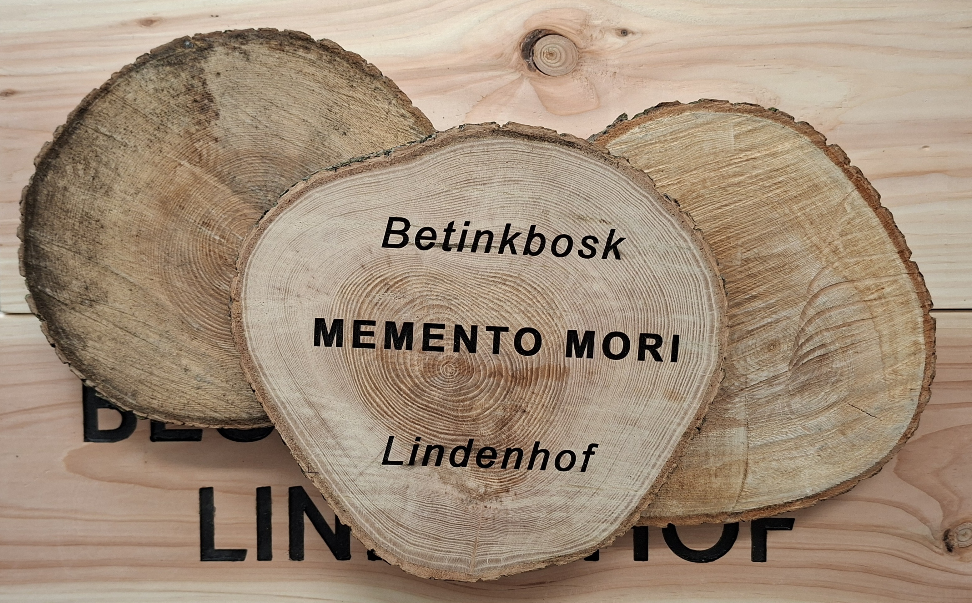 Gedenkbos en monument voor stilgeboren kinderen