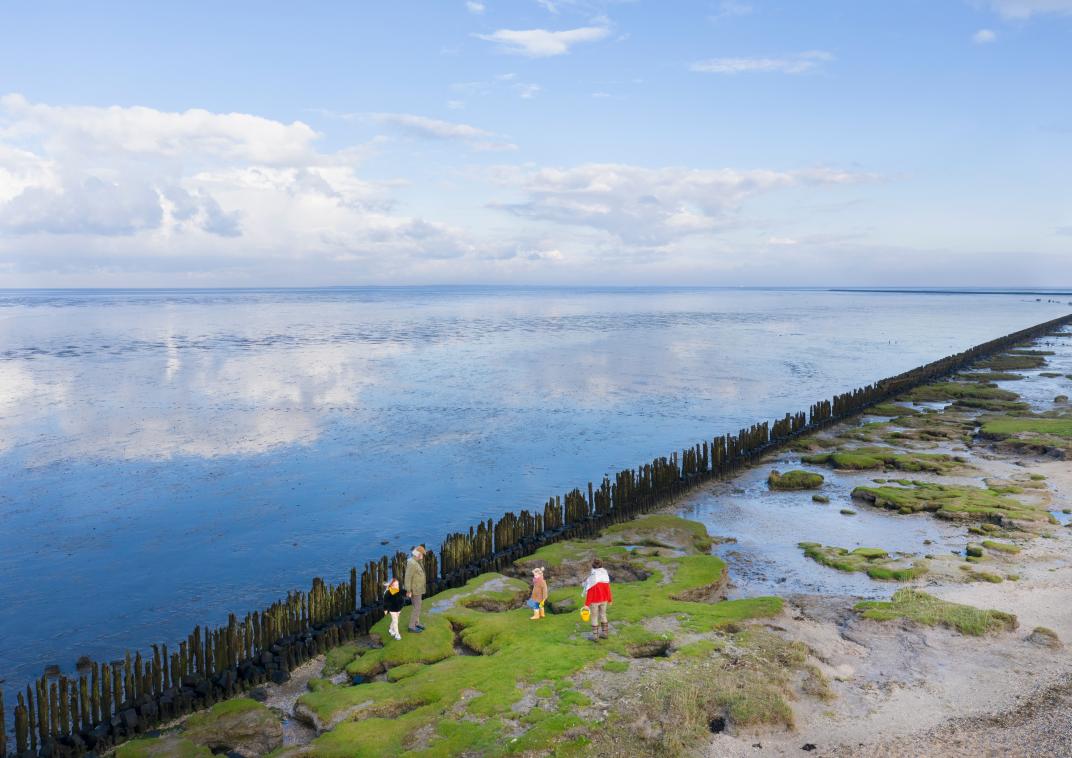 Dronefoto het Wad Peazens