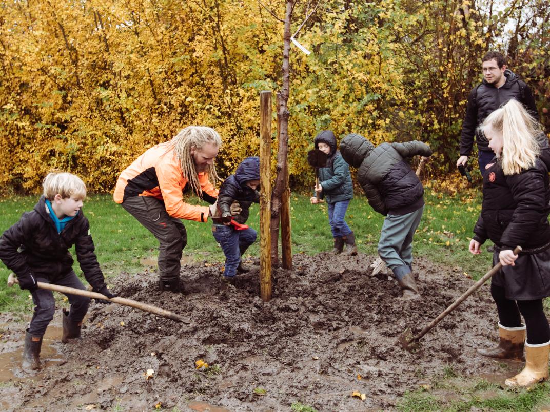 Boomplantdag