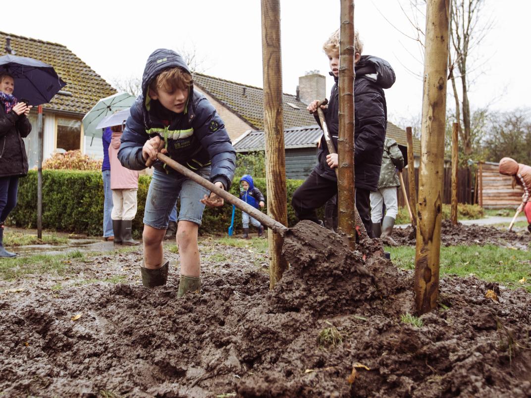 Boomplantdag