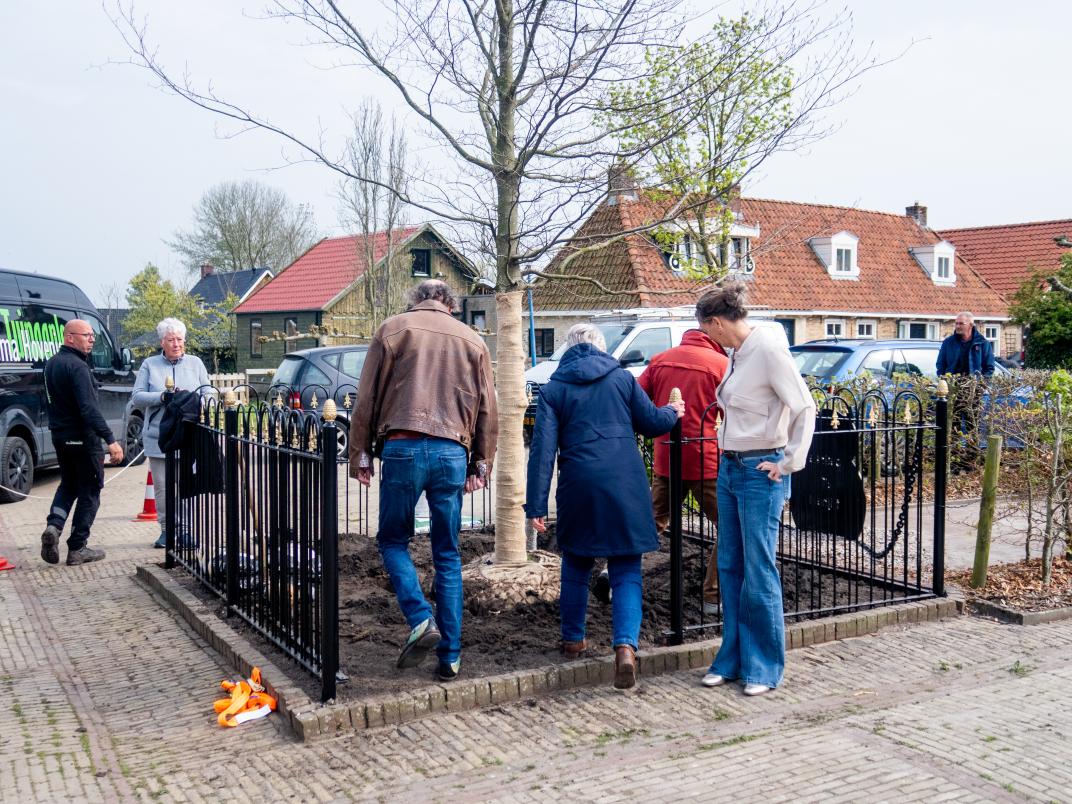 Herdenkingsboom marrum