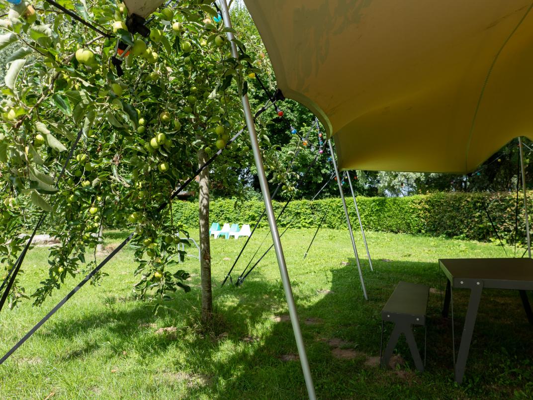 20250805-dreamlan-kollumerpomp-noardeast-fryslan-alette-3.jpg