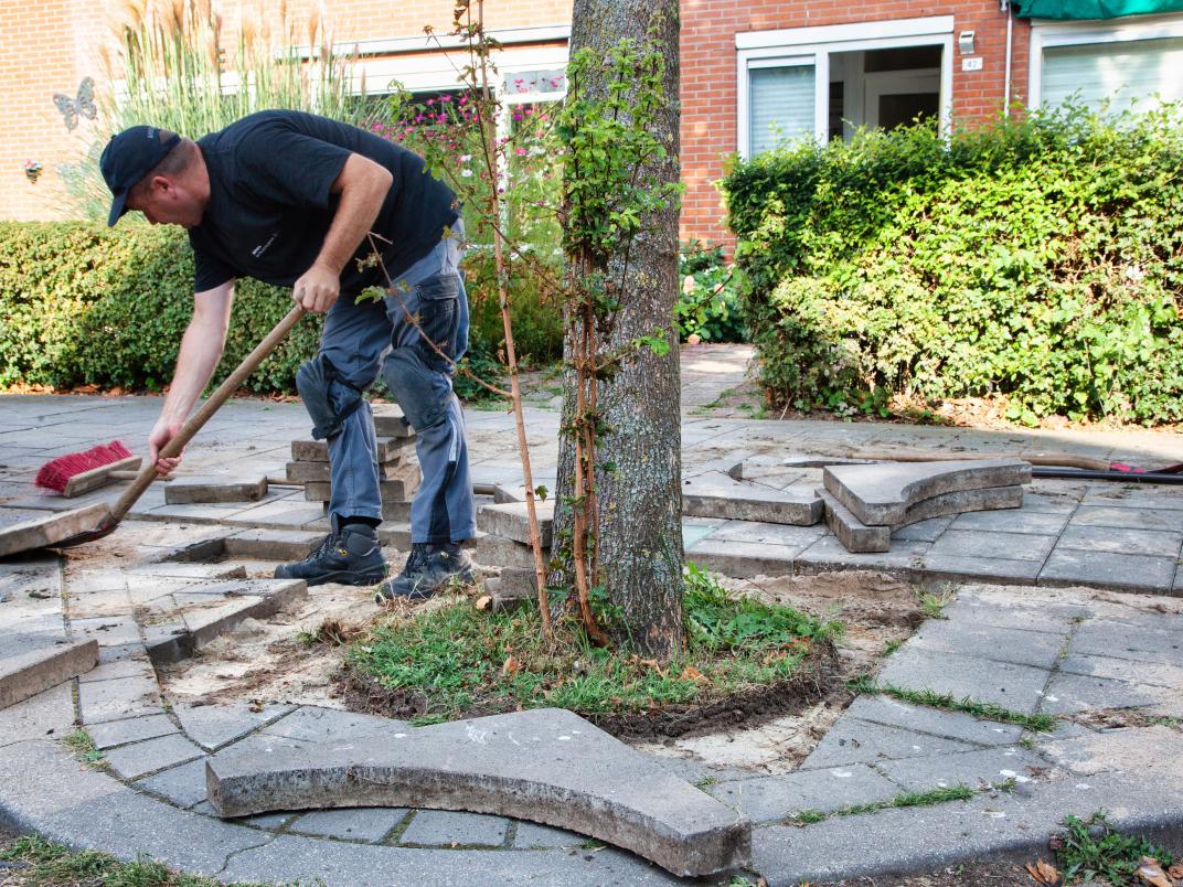Tegelwippen rond boomspiegel in tuin