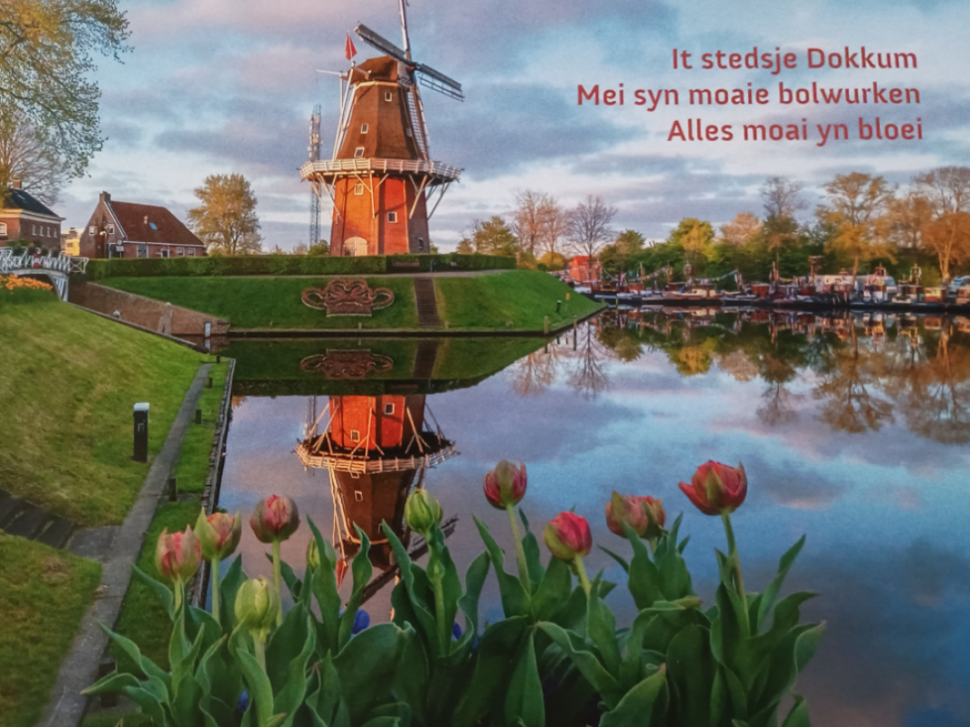 Bolwerken